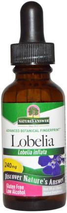 Lobelia, 240 mg, 1 fl oz (30 ml) by Natures Answer, 健康，肺和支氣管，半邊蓮 HK 香港