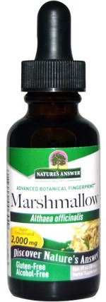 Marshmallow, Alcohol Free, 2.000 mg, 1 fl oz (30 ml) by Natures Answer, 草藥，棉花糖根 HK 香港