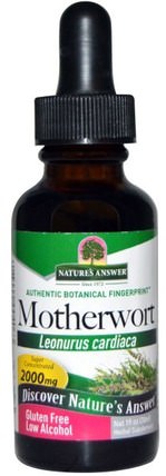 Motherwort, Low Alcohol, 2000 mg, 1 fl oz (30 ml) by Natures Answer, 草藥，益母草 HK 香港