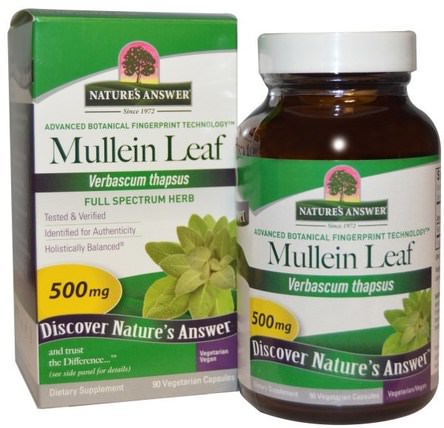 Mullein Leaf, 500 mg, 90 Vegetarian Capsules by Natures Answer, 健康，肺和支氣管，毛蕊花 HK 香港