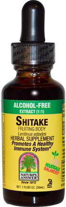 Shitake Fruiting Body, Alcohol-Free, 1 fl oz (30 ml) by Natures Answer, 補充劑，藥用蘑菇，香菇，adaptogen HK 香港