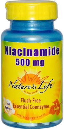 Niacinamide, 500 mg, 100 Tablets by Natures Life, 維生素，維生素b，維生素b3，維生素b3 - 煙酰胺 HK 香港