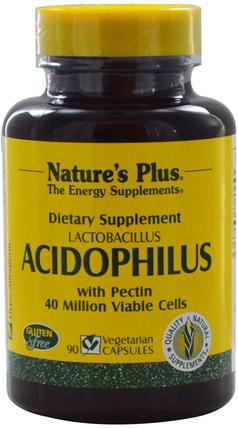 Acidophilus, Lactobacillus, 90 Veggie Caps by Natures Plus, 補充劑，酶，益生菌，穩定的益生菌 HK 香港