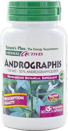 Herbal Actives, Andrographis, 150 mg, 30 Veggie Caps by Natures Plus, 補充劑，抗生素，穿心蓮，健康，感冒和病毒，感冒和流感 HK 香港