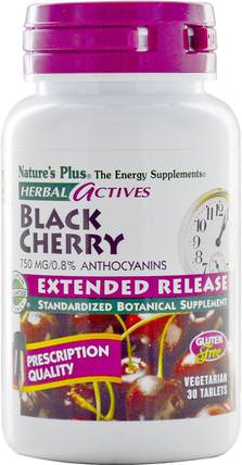 Herbal Actives, Black Cherry, 750 mg, 30 Tablets by Natures Plus, 補品，水果提取物，櫻桃（水果黑野） HK 香港