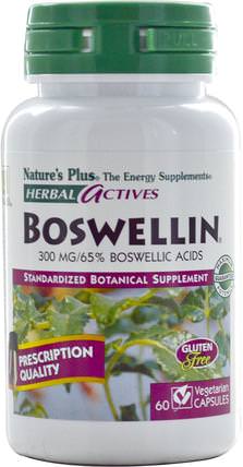 Herbal Actives, Boswellin, 300 mg, 60 Veggie Caps by Natures Plus, 健康，炎症，乳香 HK 香港
