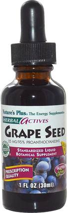 Herbal Actives, Grape Seed, Alcohol Free, 25 mg, 1 fl oz (30 ml) by Natures Plus, 補充劑，抗氧化劑，葡萄籽提取物 HK 香港