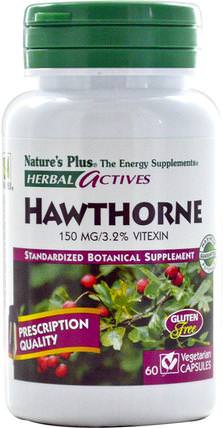 Herbal Actives, Hawthorne, 150 mg, 60 Veggie Caps by Natures Plus, 草藥，山楂 HK 香港