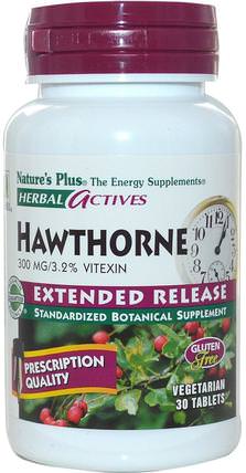 Herbal Actives, Hawthorne, Extended Release, 300 mg, 30 Veggie Tabs by Natures Plus, 草藥，山楂 HK 香港