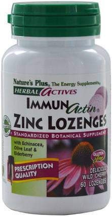 Herbal Actives, Immun Actin, Zinc Lozenges, Wild Cherry, 60 Lozenges by Natures Plus, 健康，感冒流感和病毒，接骨木（接骨木） HK 香港