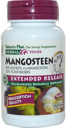 Herbal Actives, Mangosteen, Extended Release, 500 mg, 30 Tablets by Natures Plus, 補品，水果提取物，超級水果，山竹果汁提取物 HK 香港