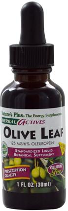 Herbal Actives, Olive Leaf, Alcohol Free, 1 fl oz (30 ml) by Natures Plus, 健康，感冒流感和病毒，橄欖葉 HK 香港