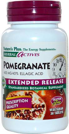 Herbal Actives, Pomegranate, Extended Release, 400 mg, 30 Tabs by Natures Plus, 補充劑，抗氧化劑，石榴汁提取物 HK 香港