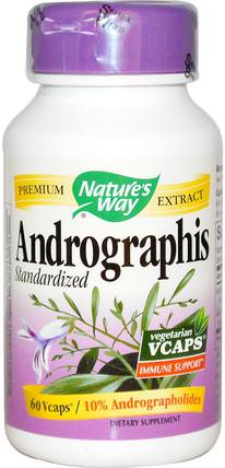 Andrographis, Standardized, 60 Veggie Caps by Natures Way, 補充劑，抗生素 HK 香港