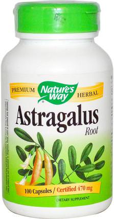 Astragalus Root, 470 mg, 100 Capsules by Natures Way, 補充劑，adaptogen HK 香港