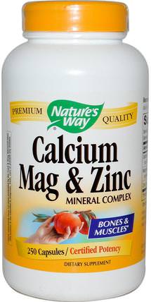 Calcium, Mag & Zinc, Mineral Complex, 250 Capsules by Natures Way, 補品，礦物質，鈣 HK 香港