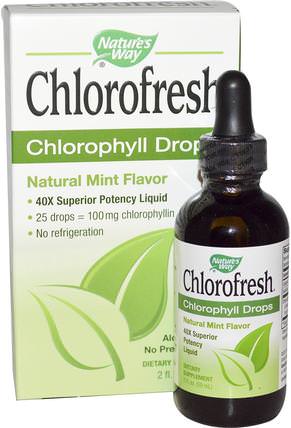 Chlorofresh, Chlorophyll Drops, Natural Mint Flavor, 2 fl oz (59 ml) by Natures Way, 補充劑，葉綠素 HK 香港