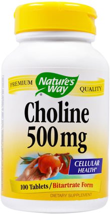 Choline, 500 mg, 100 Tablets by Natures Way, 維生素，維生素b HK 香港