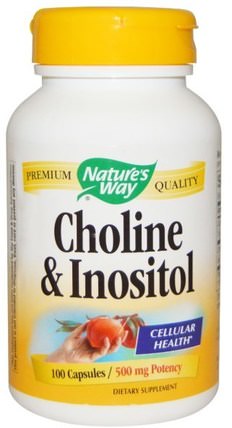 Choline & Inositol, 100 Capsules by Natures Way, 維生素，維生素b HK 香港