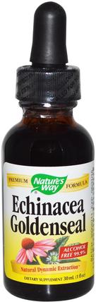 Echinacea Goldenseal, Alcohol Free 99.9%, 1 fl oz (30 ml) by Natures Way, 補充劑，抗生素 HK 香港