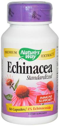 Echinacea, Standardized, 60 Capsules by Natures Way, 補充劑，抗生素 HK 香港
