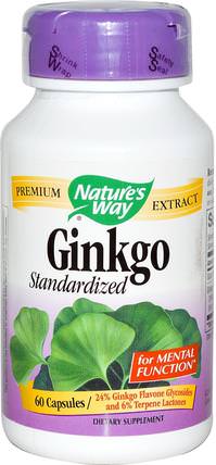 Ginkgo, Standardized, 60 Capsules by Natures Way, 補品，草藥 HK 香港