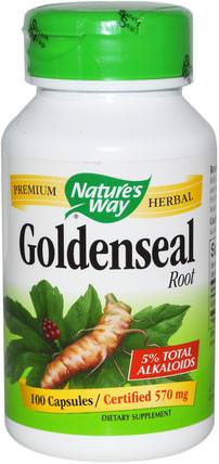 Goldenseal, Root, 570 mg, 100 Capsules by Natures Way, 補充劑，抗生素 HK 香港
