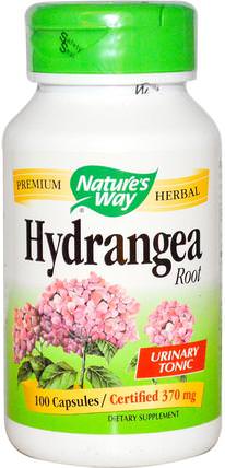 Hydrangea Root, 370 mg, 100 Capsules by Natures Way, 補品，草藥 HK 香港