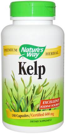 Kelp, 600 mg, 180 Veggie Capsules by Natures Way, 補充劑，各種藻類，海帶，礦物質 HK 香港