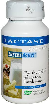 Lactase Formula EnzymeActive, 100 Capsules by Natures Way, 補充劑，酶 HK 香港