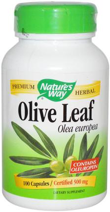 Olive Leaf, 100 Capsules by Natures Way, 補品，健康，橄欖葉 HK 香港