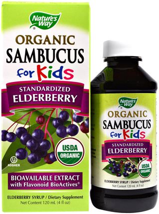Organic Sambucus for Kids, Standardized Elderberry, Berry Flavor, 4 fl oz (120 ml) by Natures Way, 補充劑，健康，感冒和流感病毒 HK 香港