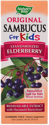 Original Sambucus For Kids, Elderberry, 8 fl oz (240 ml) by Natures Way, 補充劑，健康，感冒和流感病毒 HK 香港