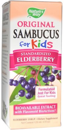 Original Sambucus for Kids, Standardized Elderberry, 4 fl oz (120 ml) by Natures Way, 健康，感冒和病毒，免疫系統 HK 香港