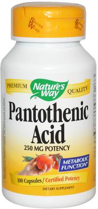 Pantothenic Acid, 100 Capsules by Natures Way, 維生素，維生素b HK 香港