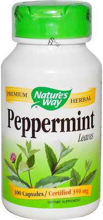 Peppermint, Leaves, 100 Capsules by Natures Way, 健康，排毒 HK 香港