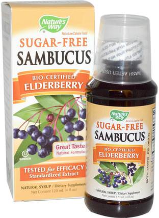 Sambucus, Bio-Certified Elderberry, Sugar-Free, Natural Syrup, 4 fl oz (120 ml) by Natures Way, 健康，感冒流感和病毒，接骨木（接骨木） HK 香港