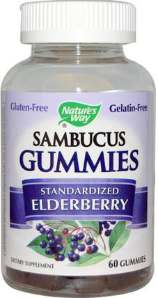Sambucus Gummies, Standardized Elderberry, 60 Gummies by Natures Way, 健康，感冒流感和病毒，接骨木（接骨木） HK 香港