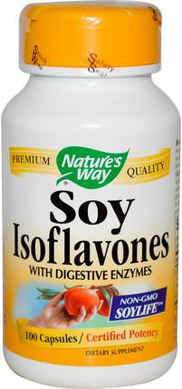 Soy Isoflavones, 100 Capsules by Natures Way, 補充劑，豆製品，大豆異黃酮，健康，更年期 HK 香港