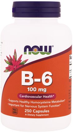 B-6, 100 mg, 250 Capsules by Now Foods, 維生素，維生素b，維生素b6 - 吡哆醇 HK 香港