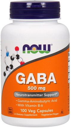 GABA, 500 mg, 100 Veg Capsules by Now Foods, 補充劑，gaba（γ氨基丁酸） HK 香港