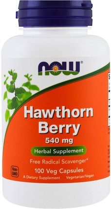 Hawthorn Berry, 540 mg, 100 Capsules by Now Foods, 草藥，山楂 HK 香港