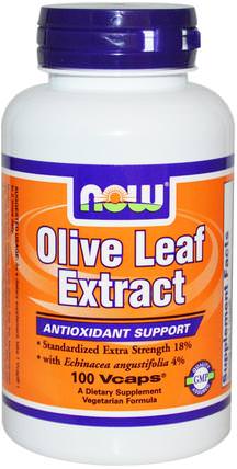 Olive Leaf Extract, 100 Veg Capsules by Now Foods, 補充劑，抗生素，紫錐花，健康，橄欖葉 HK 香港