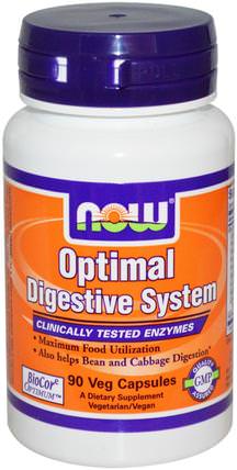 Optimal Digestive System, 90 Veg Capsules by Now Foods, 補充劑，酶，消化酶 HK 香港