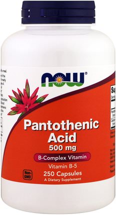 Pantothenic Acid, 500 mg, 250 Capsules by Now Foods, 維生素，維生素b，維生素b5 - 泛酸 HK 香港