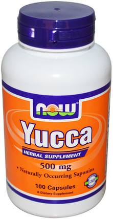 Yucca, 500 mg, 100 Capsules by Now Foods, 草藥，絲蘭 HK 香港