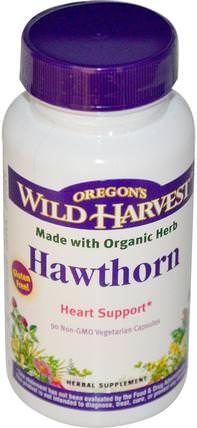 Hawthorn, 90 Non-GMO Veggie Caps by Oregons Wild Harvest, 健康，心臟心血管健康，心臟支持，草藥，山楂 HK 香港