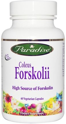 Coleus Forskolii, 60 Veggie Caps by Paradise Herbs, 草藥，錦紫蘇forskohlii HK 香港