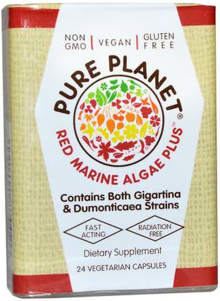 Red Marine Algae Plus, 24 Veggie Caps by Pure Planet, 補充劑，紅色礦物海藻 HK 香港