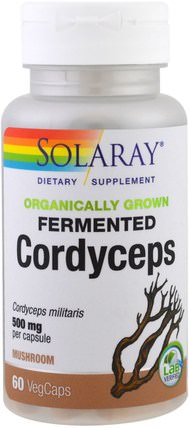 Organic Grown Fermented Cordyceps, 500 mg, 60 Veggie Caps by Solaray, 補充劑，藥用蘑菇 HK 香港